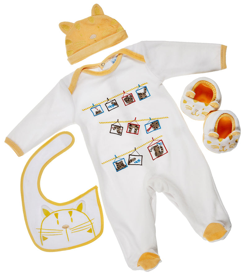 Coffret naissance chat abricot