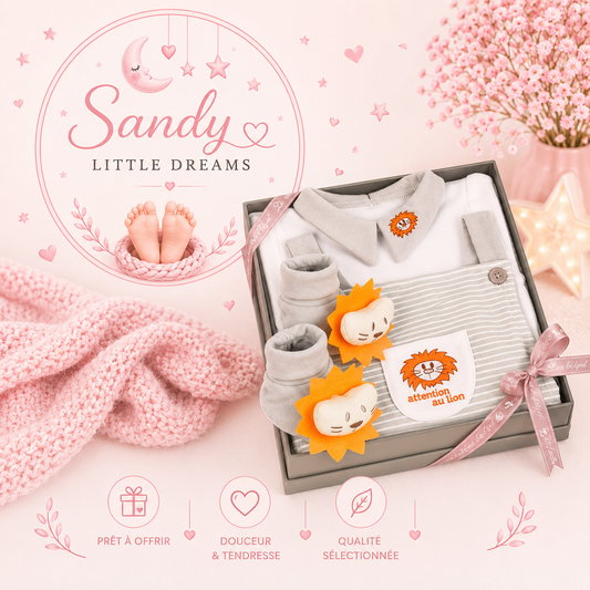 Coffret naissance Lion Gris