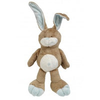 Lapin