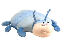 Coccinelle bleue