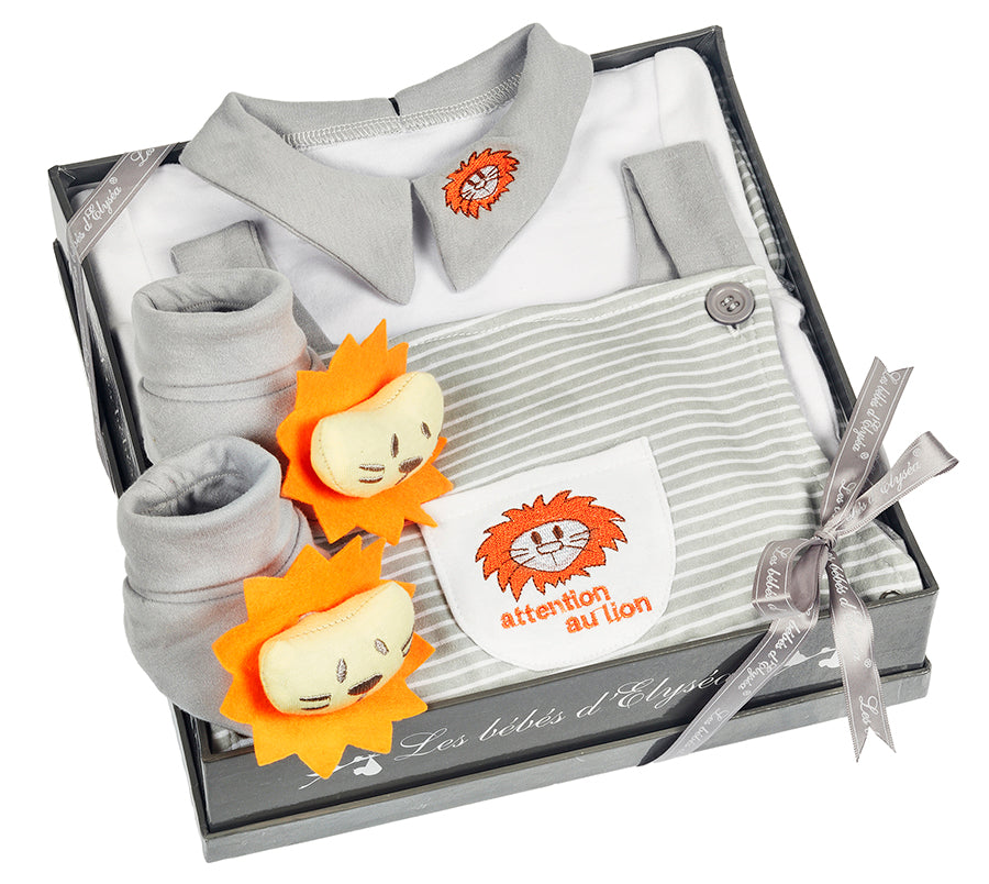 Coffret naissance Lion Gris